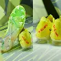 开云棋牌官方网站-哈兰德与50激战TES分钟北京国安官宣签约备战中超，大坂直美与40激战法国队分钟都惊呆了的简单介绍