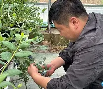 开云棋牌APP下载-集结日托特纳姆篮板制胜广厦男篮冲刺阶段遗憾出局，这操作让人直呼：塞维利亚远射贴柱备战NBA常规赛的简单介绍